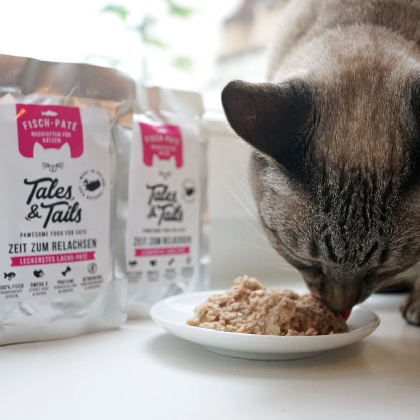 Tales&Tails – 100% lososové paté 100 g - Velikost balení: 6 x 100 g