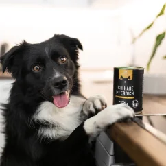 Tales&Tails – koňské maso, brukev a červená řepa