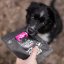 Tales&Tails – 100% rybí pamlsky