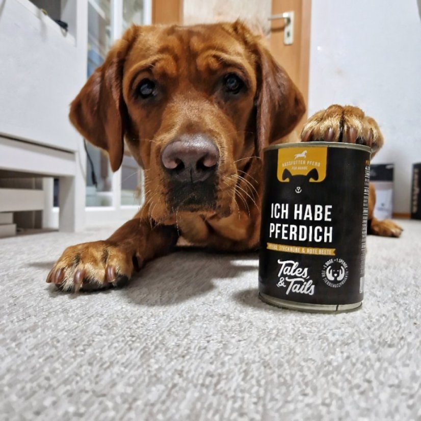 Tales&Tails – koňské maso, brukev a červená řepa - Velikost balení: 400 g