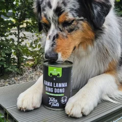 Tales&Tails – jehněčí maso, dýně a červená řepa