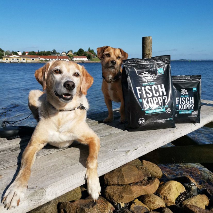 Tales&Tails – ryby a zelenina - Velikost balení: 4 kg