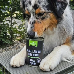 Tales&Tails – jehněčí maso, dýně a červená řepa