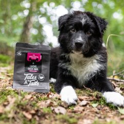 Tales&Tails – 100% rybí pamlsky